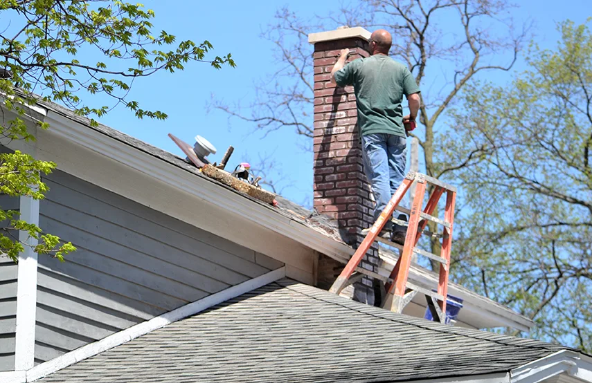 Chimney & Fireplace Inspections Services in Essex, MD